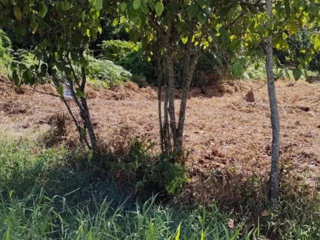 Terreno venda em Carvoeiro, Guaratuba