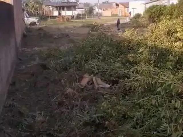 Terreno venda em Região Geográfica Imediata de Paranaguá, Guaratuba