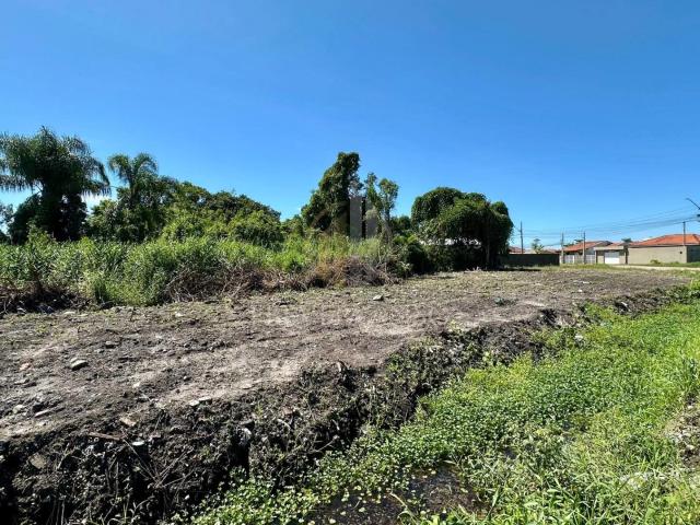 Terreno venda em Carvoeiro, Guaratuba