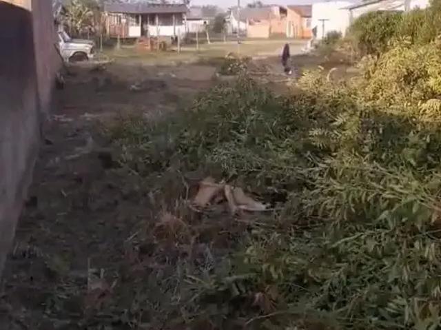 Terreno venda em Região Geográfica Imediata de Paranaguá, Guaratuba