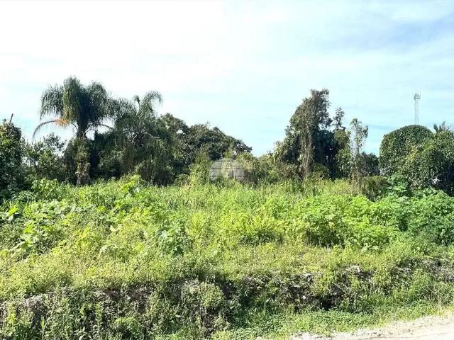 Terreno venda em Cohapar, Guaratuba
