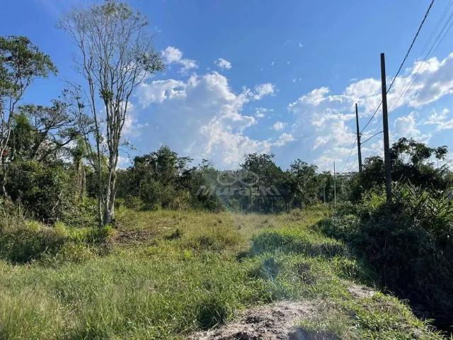 Terreno venda em Região Geográfica Imediata de Paranaguá, Guaratuba