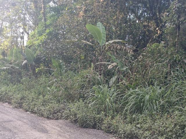 Terreno venda em Guaratuba, Região Geográfica Intermediária de Curitiba