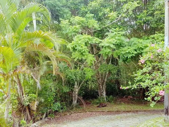 Terreno venda em Região Geográfica Imediata de Paranaguá, Guaratuba
