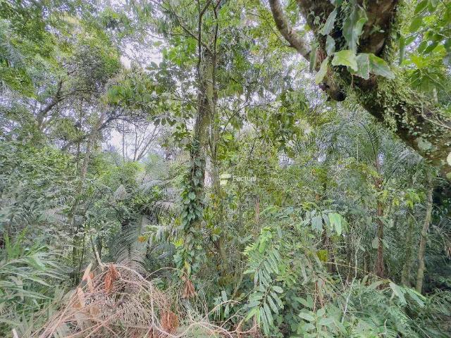 Terreno venda em Vila Chaparral, Guarujá