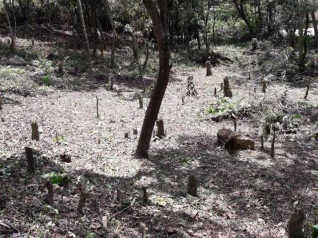 Terreno venda em Distrito-sede de Guarulhos, Guarulhos