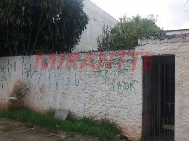Terreno venda em Jardim Albertina, Guarulhos