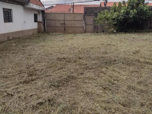 Terreno venda em Vila Cocaia, Guarulhos