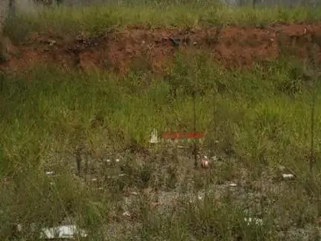 Terreno venda em Vila Jardim Santa Cecília, Guarulhos