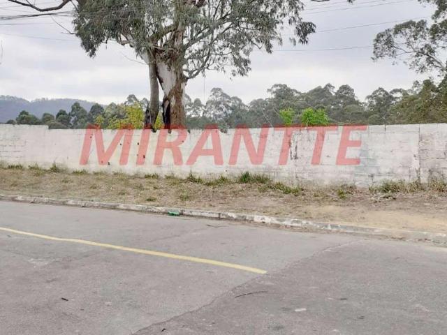 Terreno venda em Vila Cidade Parque Alvorada, Guarulhos