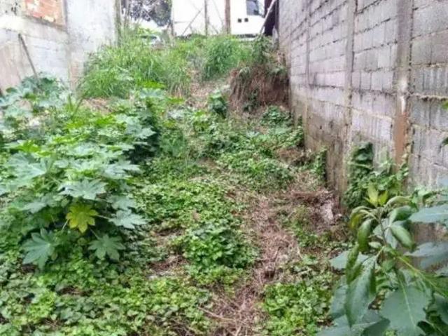 Terreno venda em Vila Jardim Jovaia, Guarulhos