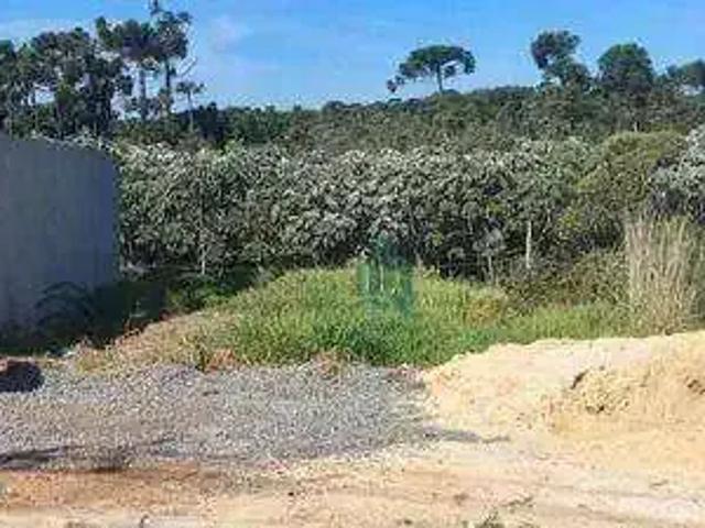 Terreno venda em Distrito de Jardim Presidente Dutra, Guarulhos