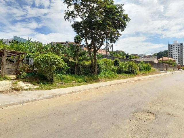 Terreno venda em Vila Nova Bonsucesso, Guarulhos