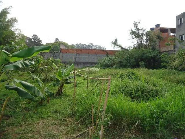 Terreno venda em Jardim Santa Cecília, Guarulhos