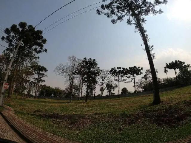 Terreno venda em Região Geográfica Imediata de Chapecó, Guatambu