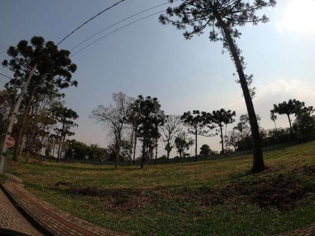 Terreno venda em Região Geográfica Imediata de Chapecó, Guatambu