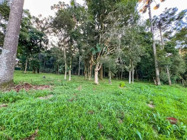 Terreno venda em Região Geográfica Imediata de Chapecó, Guatambu