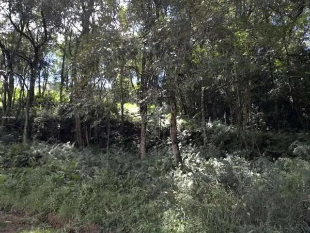 Terreno venda em Herval d'Oeste, Região Sul