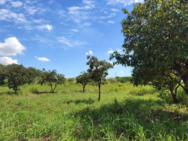 Terreno venda em Região Geográfica Imediata de Goiânia, Hidrolândia