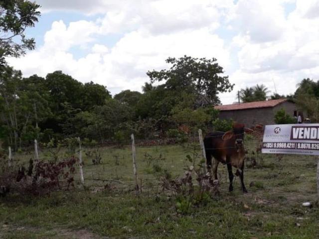 Terreno venda em Horizonte, Região Geográfica Intermediária de Fortaleza