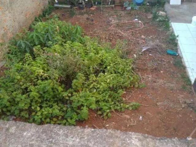 Terreno venda em Região Imediata de Campinas, Região Metropolitana de Campinas