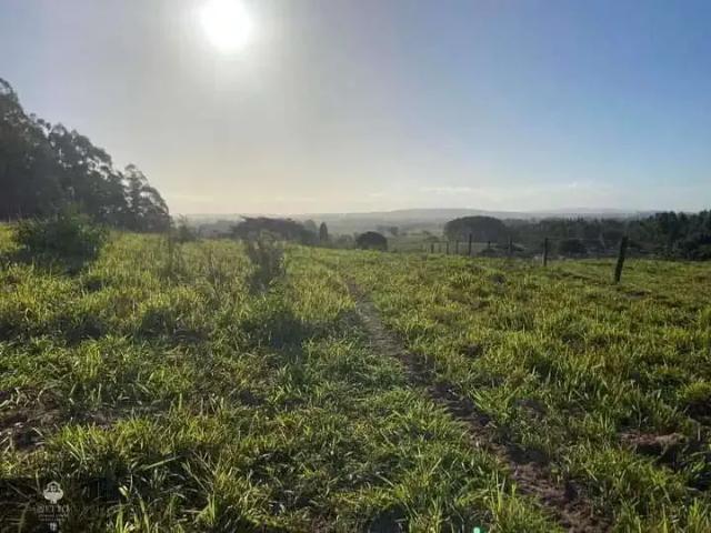 Terreno venda em Região Geográfica Imediata de Criciúma, Içara