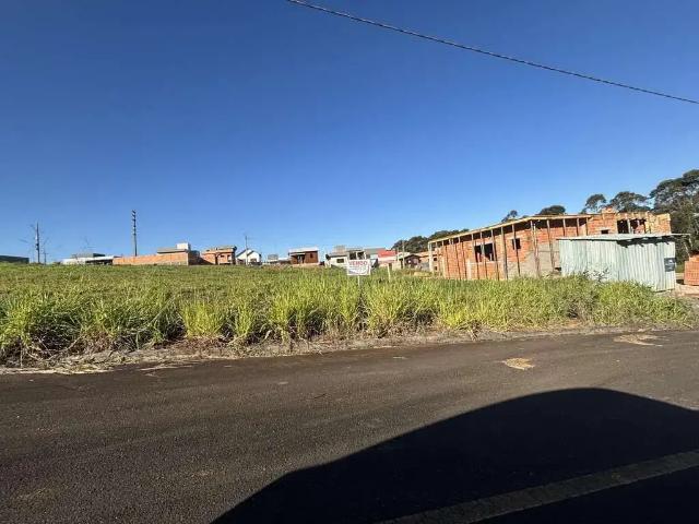Terreno venda em Região Geográfica Imediata de Criciúma, Içara