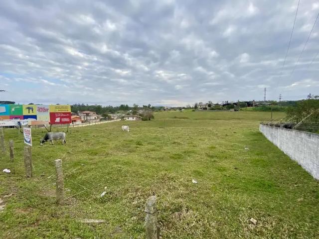 Terreno venda em Região Geográfica Imediata de Criciúma, Içara
