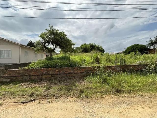 Terreno venda em Região Geográfica Imediata de Criciúma, Içara