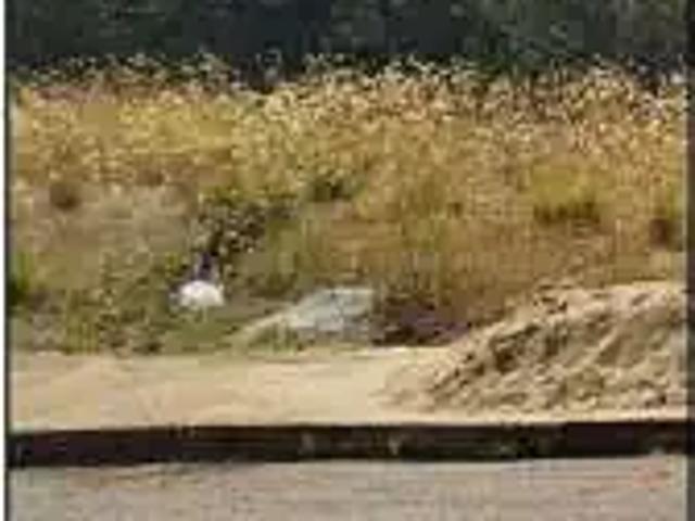 Terreno venda em Região Imediata de Bauru, Iacanga