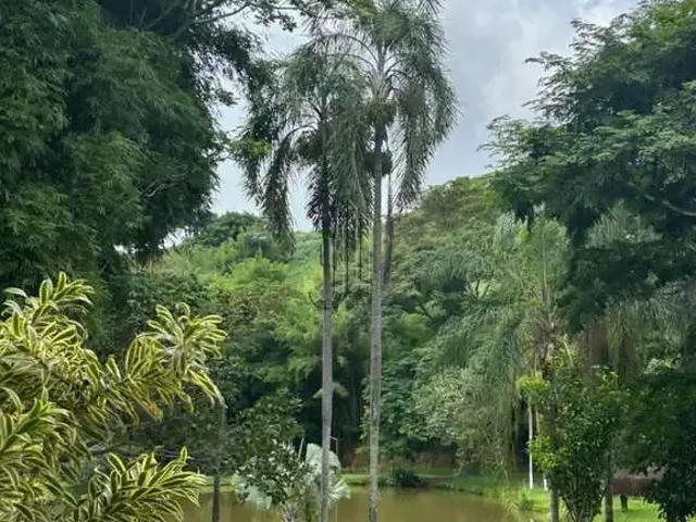 Terreno venda em Região Geográfica Imediata de Ipatinga, Iapu