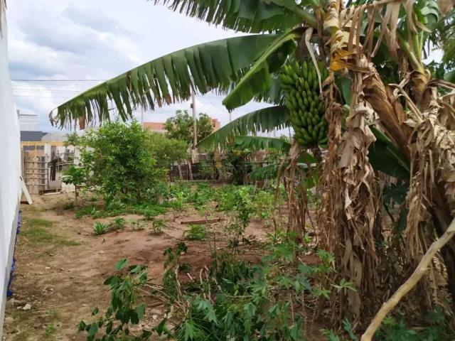 Terreno venda em Região Imediata de São Carlos, Ibaté