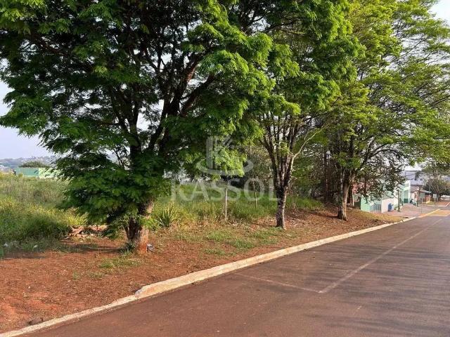 Terreno venda em Região Geográfica Imediata de Cascavel, Ibema