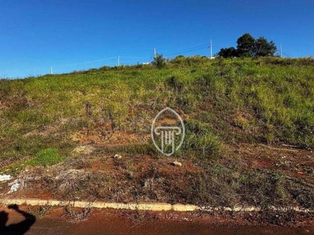 Terreno venda em Região Geográfica Imediata de Londrina, Ibiporã