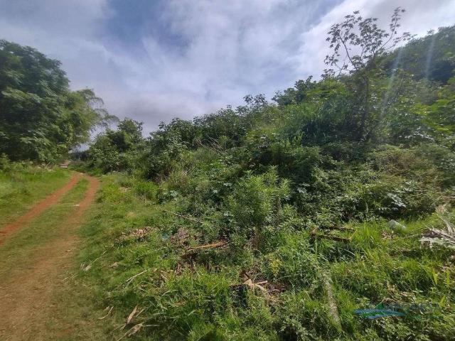 Terreno venda em Região Geográfica Imediata de Londrina, Ibiporã