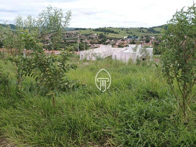 Terreno venda em Região Geográfica Imediata de Londrina, Ibiporã