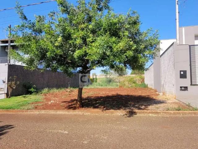 Terreno venda em Região Geográfica Imediata de Londrina, Ibiporã