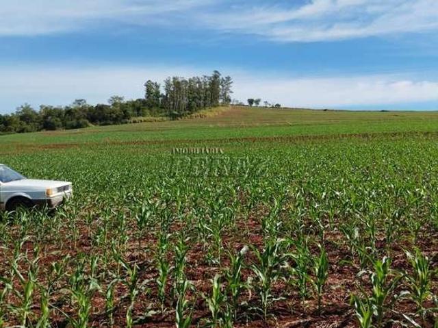 Terreno venda em Região Geográfica Imediata de Londrina, Ibiporã