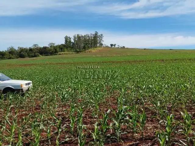 Terreno venda em Região Geográfica Imediata de Londrina, Ibiporã