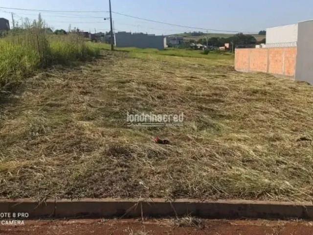 Terreno venda em Ibiporã, Região Geográfica Intermediária de Londrina