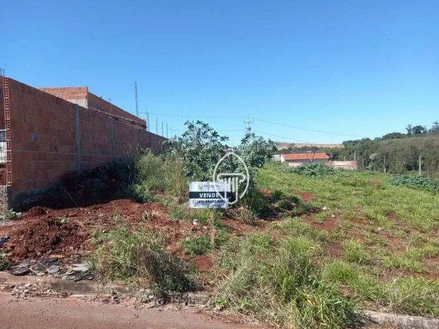 Terreno venda em Região Geográfica Imediata de Londrina, Ibiporã