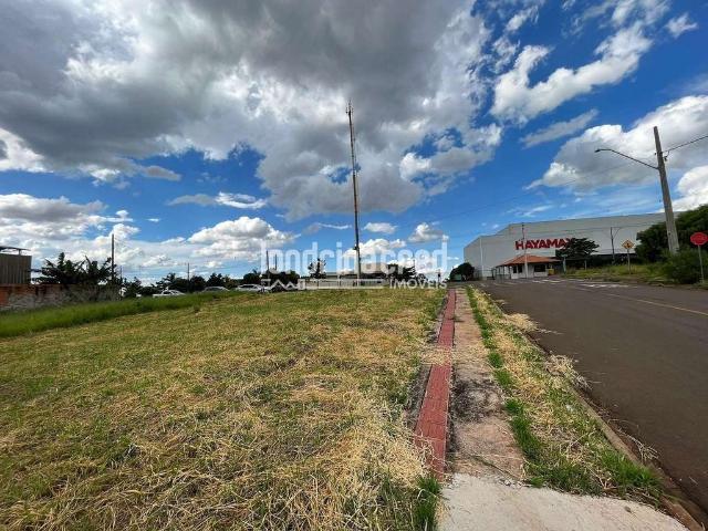 Terreno venda em Região Geográfica Imediata de Londrina, Ibiporã