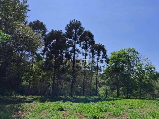 Terreno venda em Região Geográfica Imediata de Londrina, Ibiporã