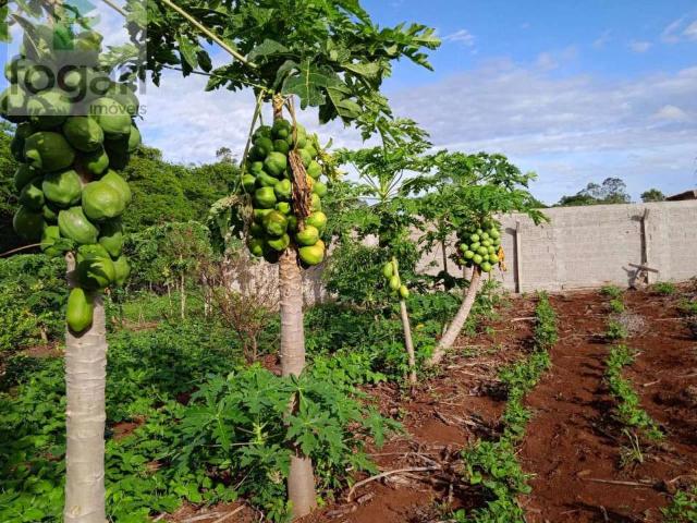 Terreno venda em Região Geográfica Imediata de Londrina, Londrina