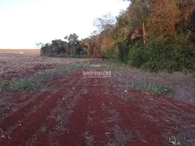 Terreno venda em Ibiporã, Região Geográfica Intermediária de Londrina