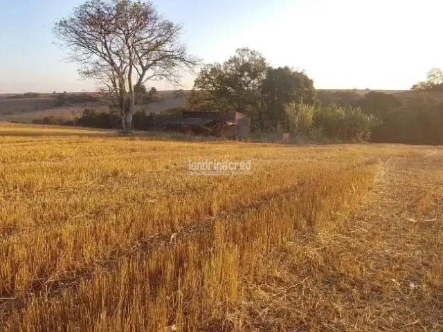 Terreno venda em Ibiporã, Região Geográfica Intermediária de Londrina