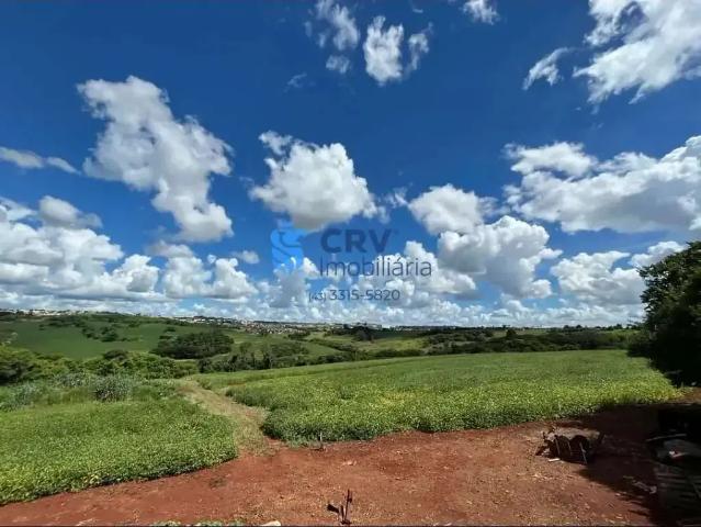 Terreno venda em Região Geográfica Imediata de Londrina, Ibiporã