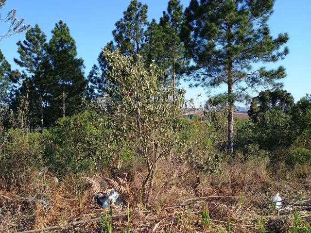 Terreno venda em Região Imediata de Sorocaba, Região Metropolitana de Sorocaba