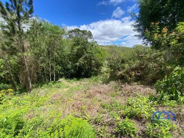 Terreno venda em Região Imediata de Sorocaba, Região Metropolitana de Sorocaba