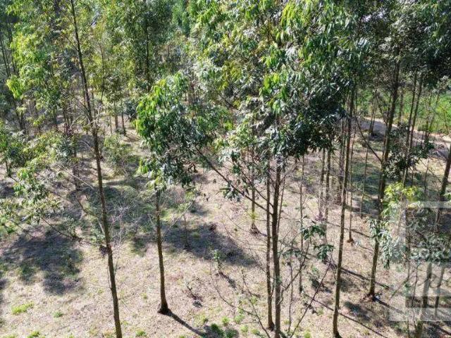 Terreno venda em Região Imediata de Sorocaba, Região Metropolitana de Sorocaba